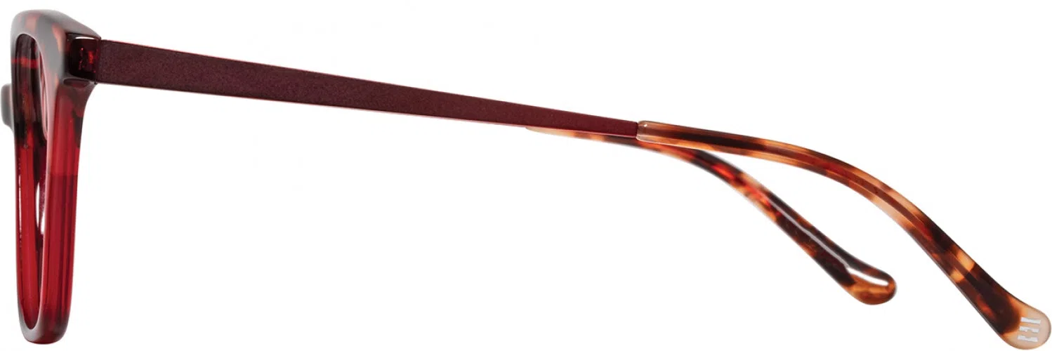 Cinzia CIN5189 Eyeglasses - view 5